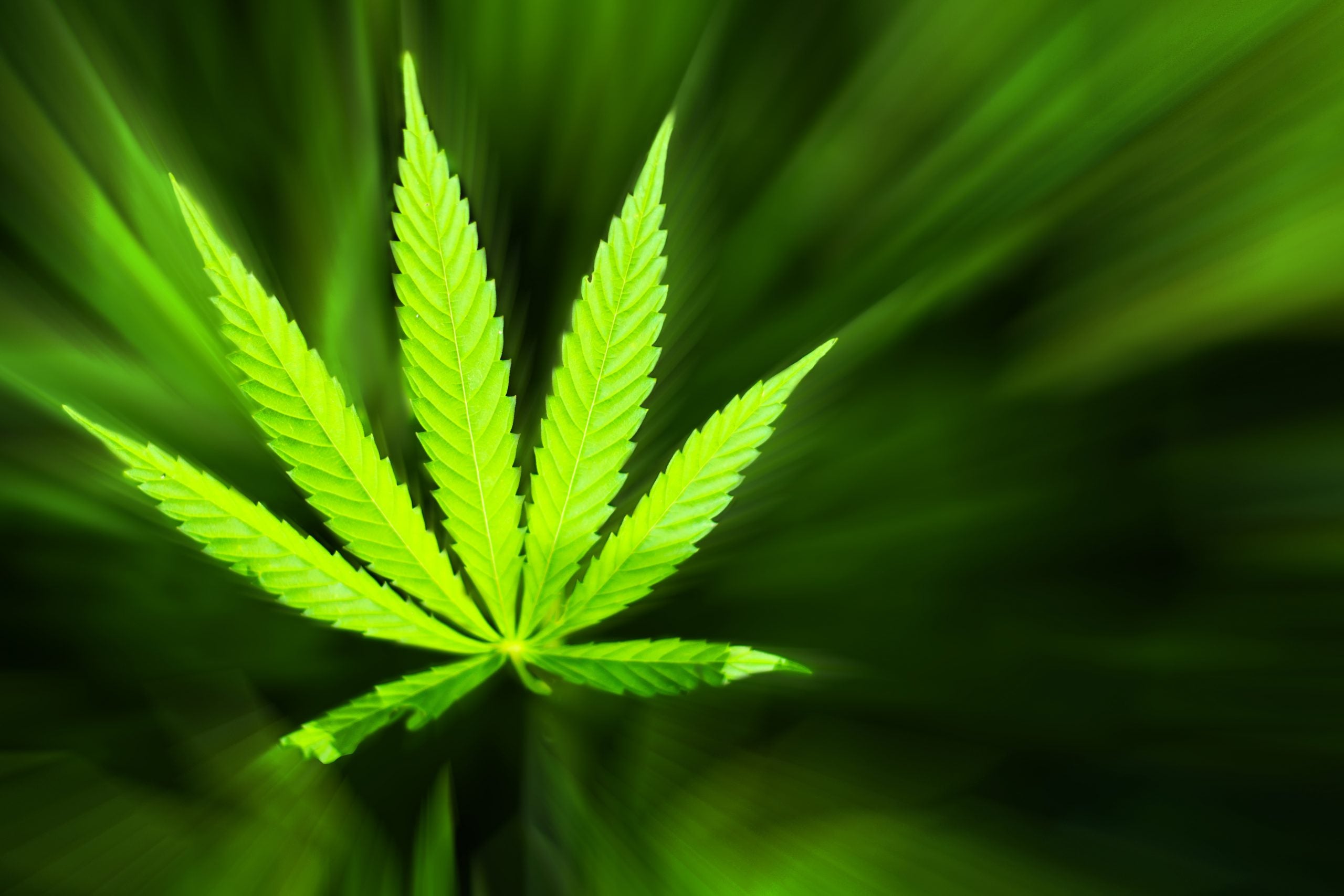 cbd massage in aspen at heaven on earth