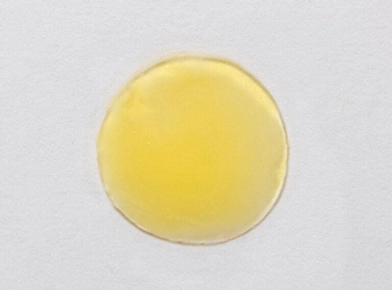 Skin Script Vitamin C Green Tea Serum.