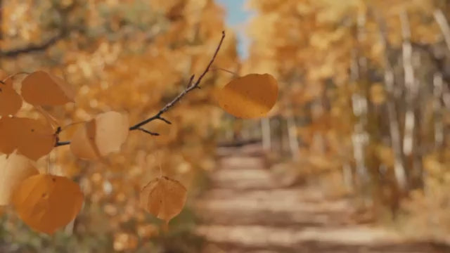 Heaven on Earth Aspen Day Spa and Shop Intro Video